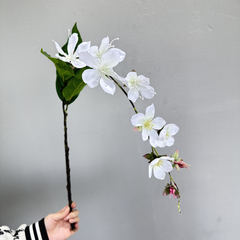 Artificial Hanging Jasmine Flo - Photography Hotel review and price