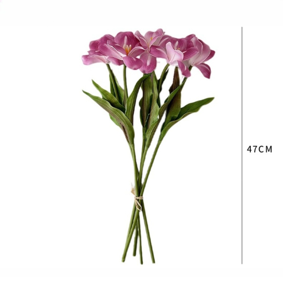 18.5 Inches Single Stem Open T - Photography Hotel review and price