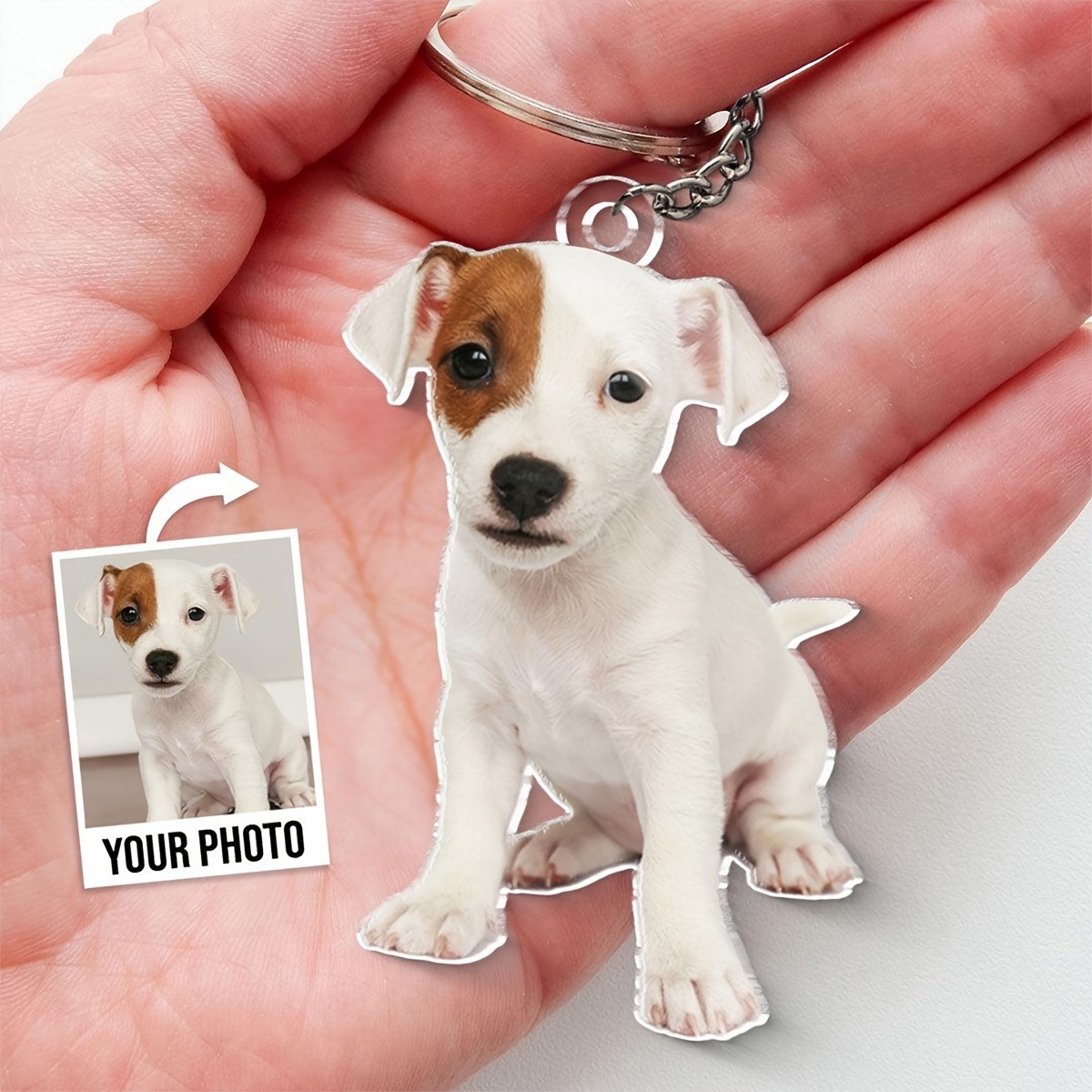 Personalized Custom-Cut colorf - Photography Ideas review and price