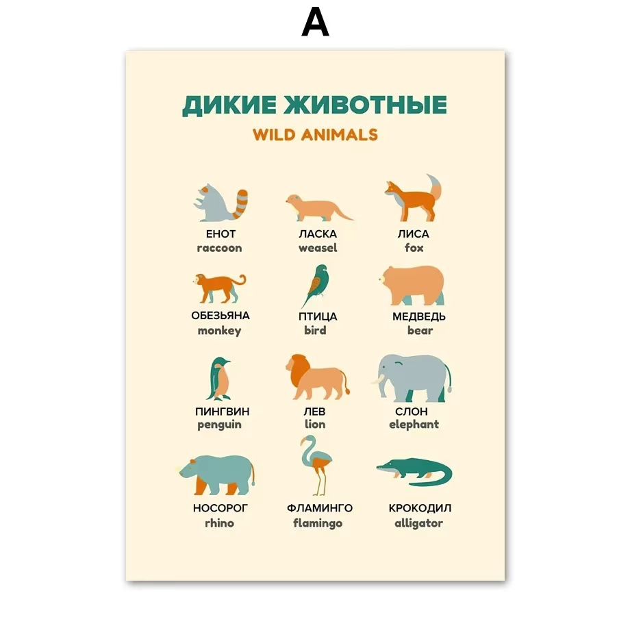 1pc Russian Educational Art Po - Photography Font review and price