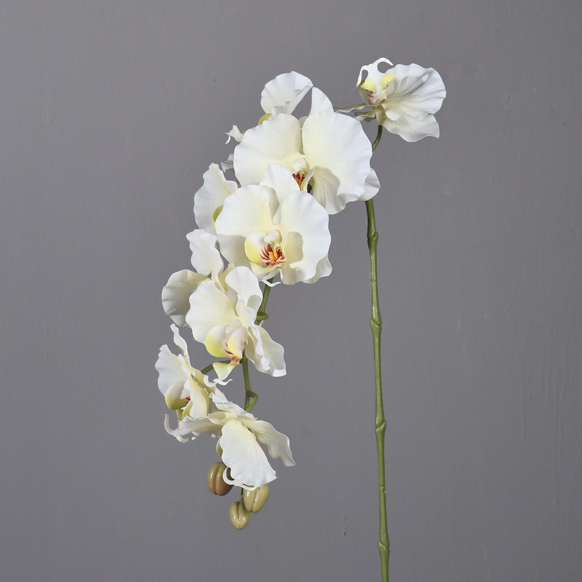 38.6 Inch 9 Heads Korean Style - Photography Hotel review and price