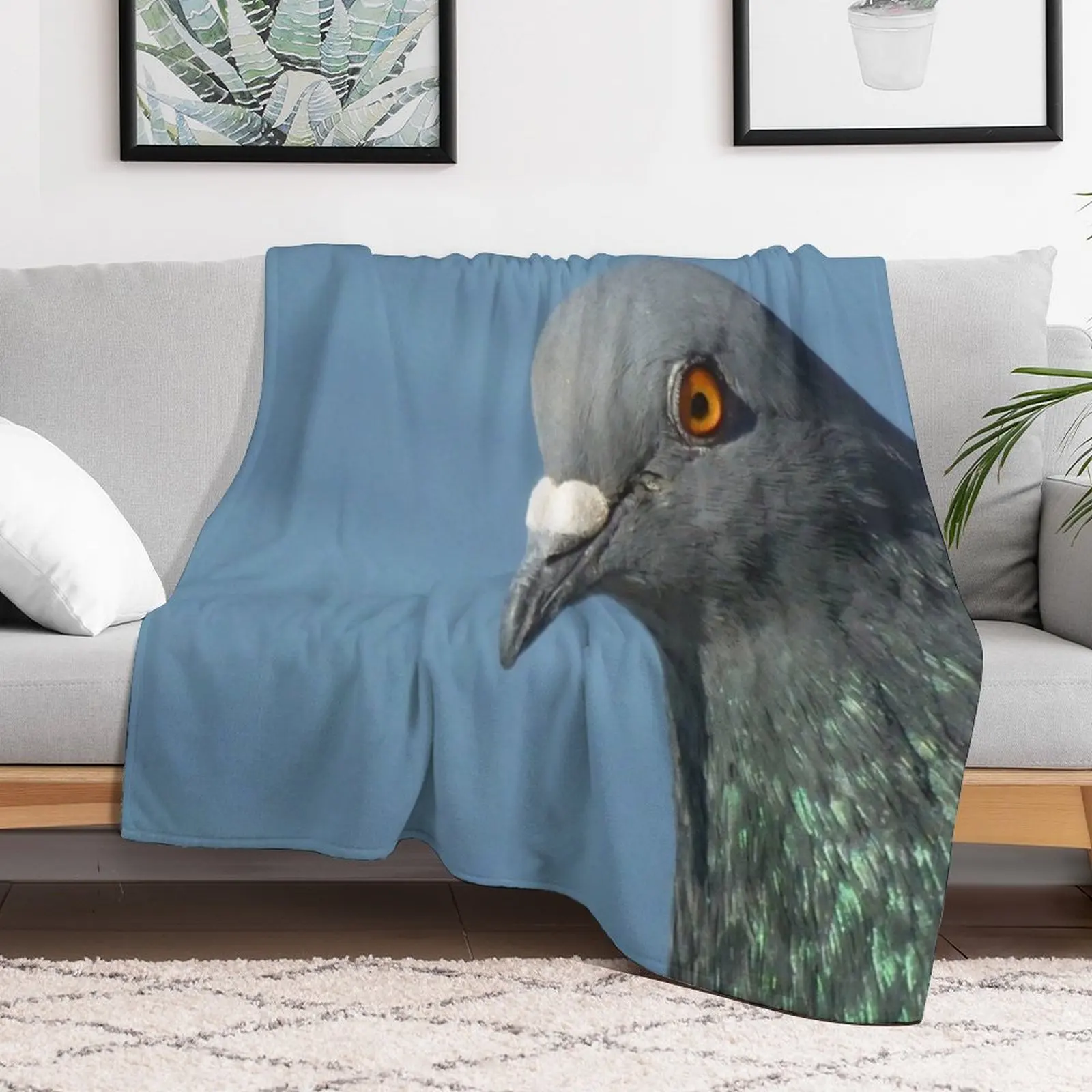 Pigeon Close Up Photography Th - Photography Close Up review and price