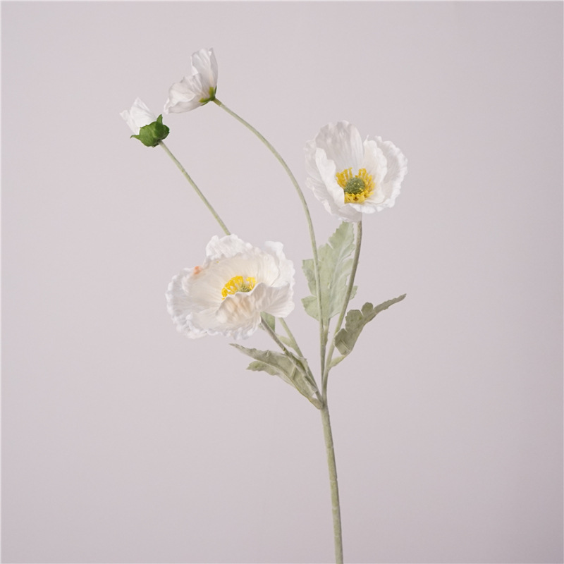 25.2 Inch Single Stem High Qua - Photography Hotel review and price
